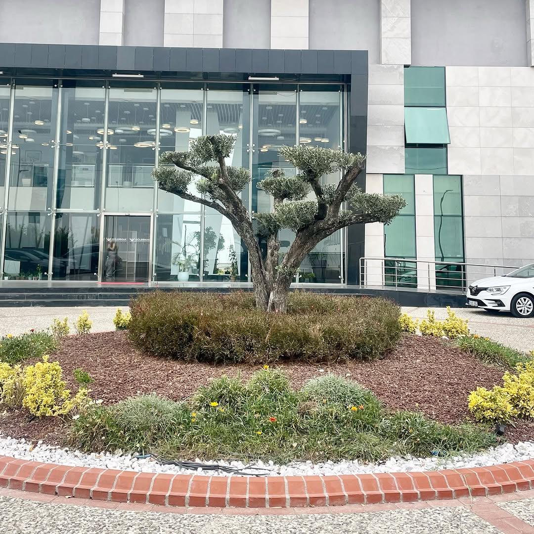 Günay Peyzaj Instagram Post 1