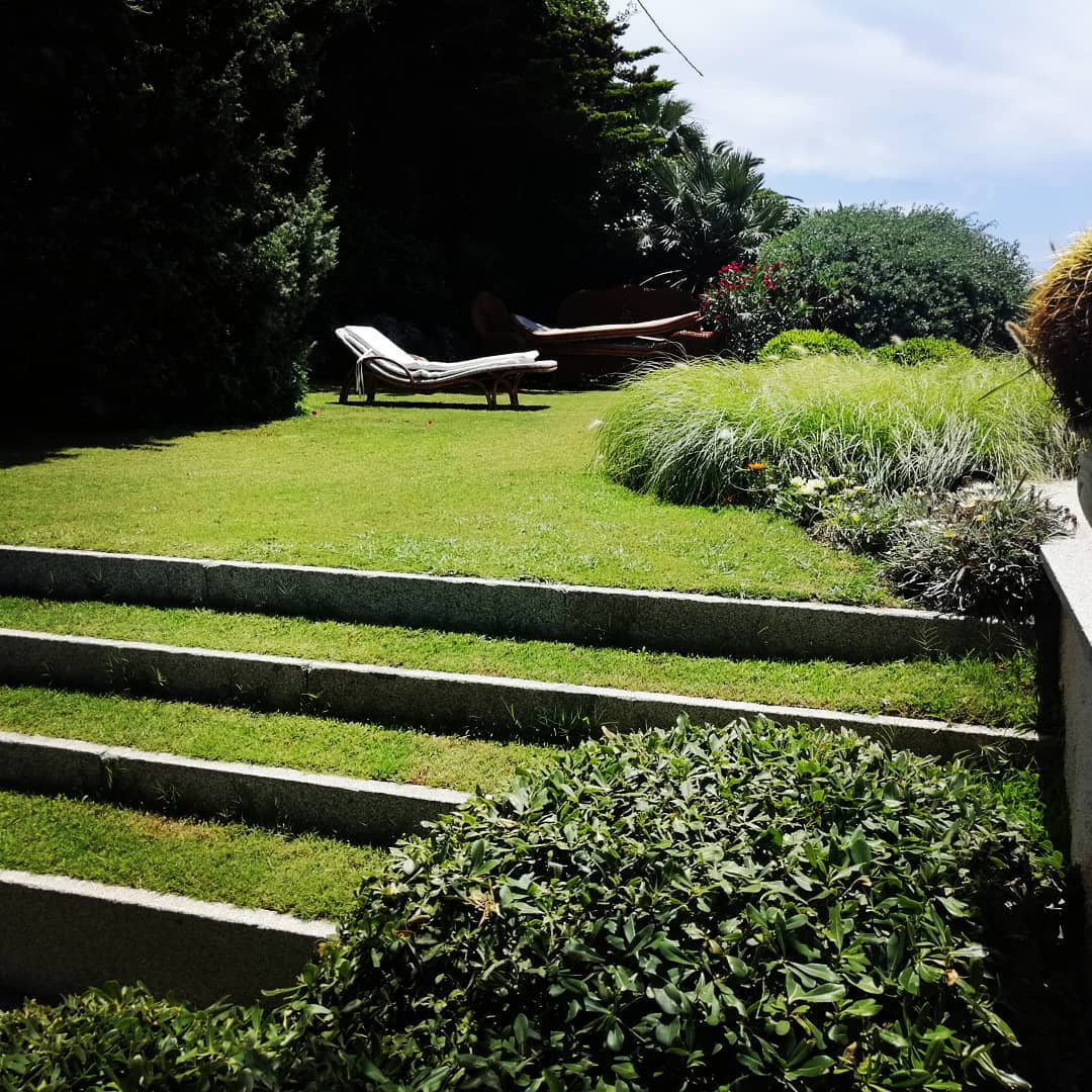 Günay Peyzaj Instagram Post 6